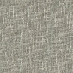 Dim Grey
