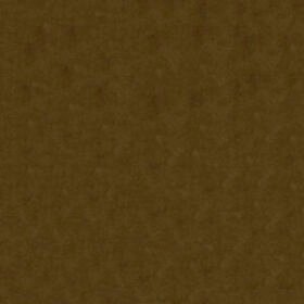 Velvet Camel